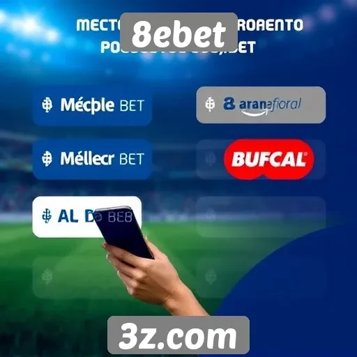 Métodos de pagamento aceitos pelo 8ebet